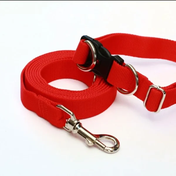 Kalung Anjing Set Lebar 2,5 Cm