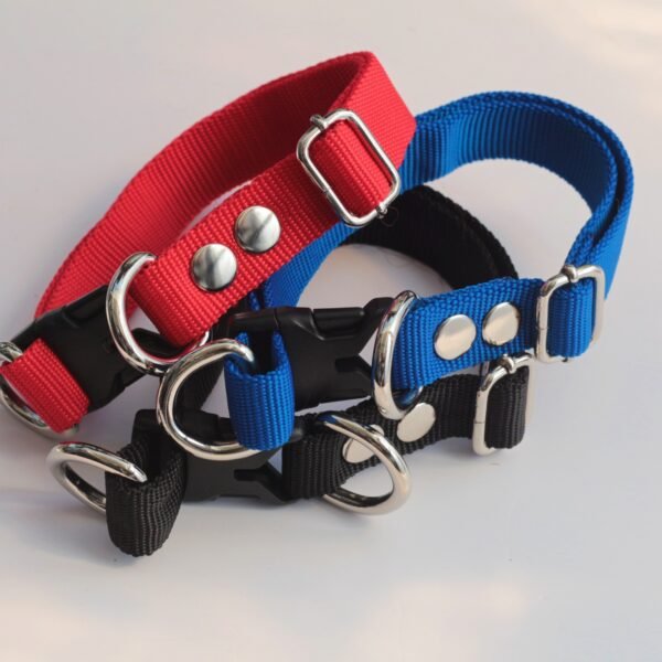 Kalung Tebal Untuk Anjing Kecil Dan Medium Lebar 2 Cm