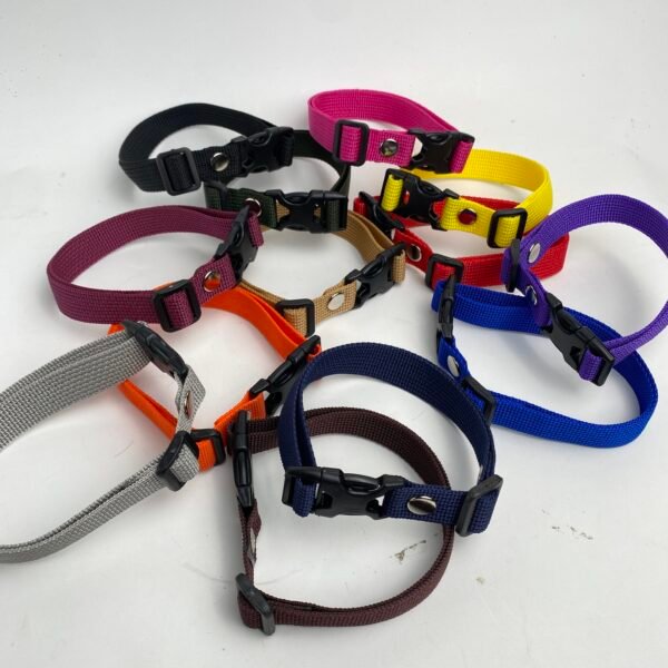 Kalung Anjing Polos Murah